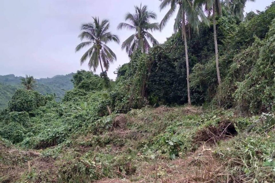 Farm Lot