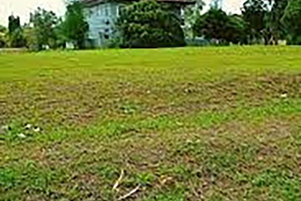 for sale lot only in mactan cebu