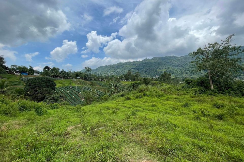 Farm Lot For Sale!!!