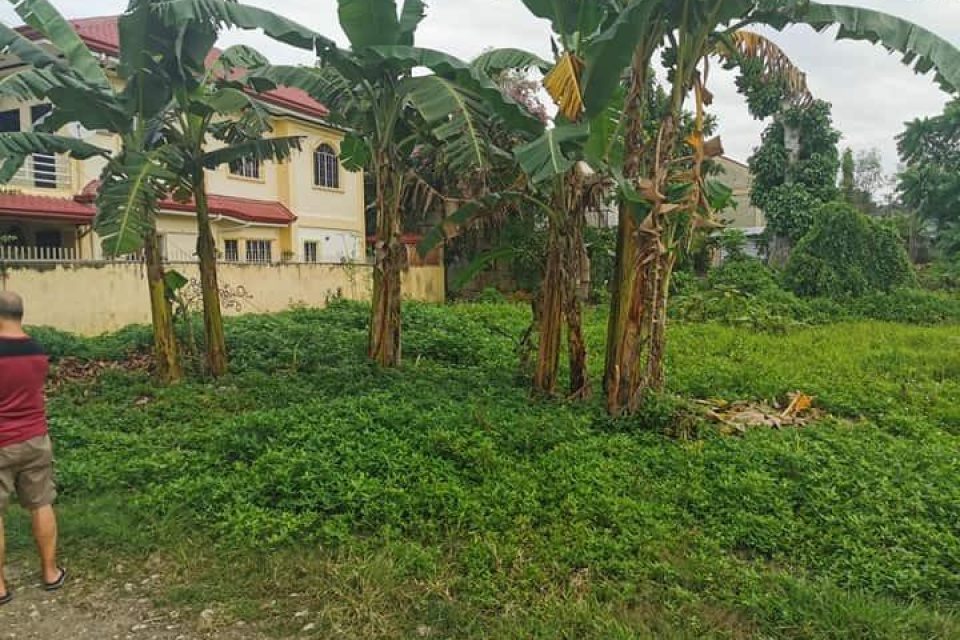 Residential Lot for Sale in Talamban Cebu City
