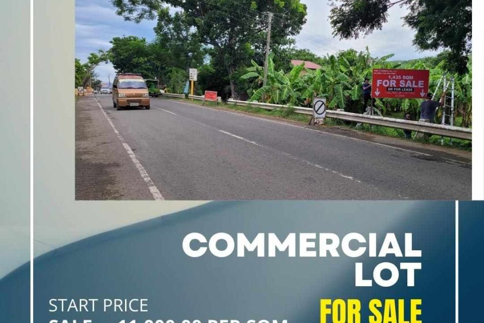Carcar Lot for Sale