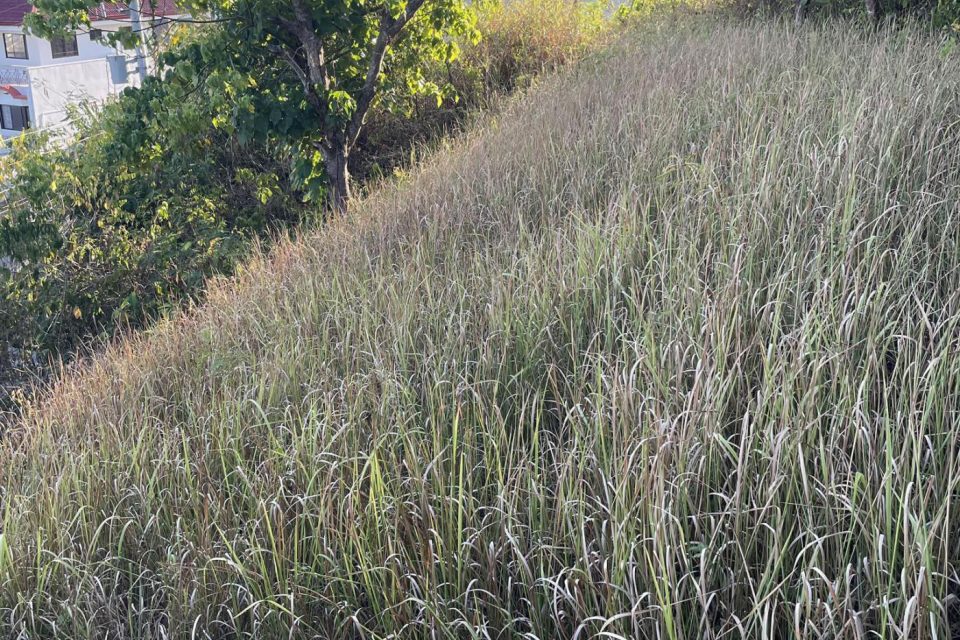 Lot for Sale in South Hills