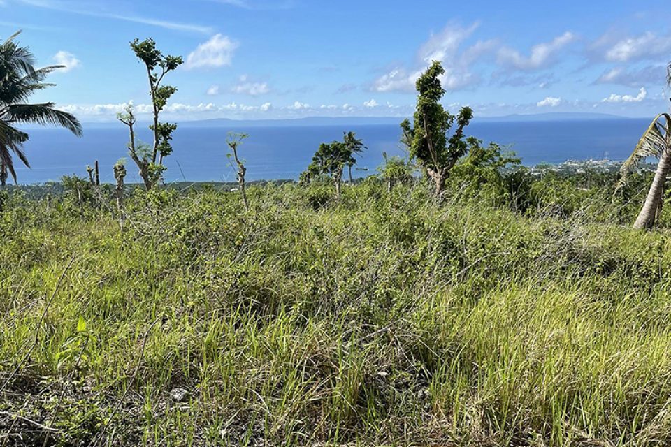 San Fernando Lot for Sale