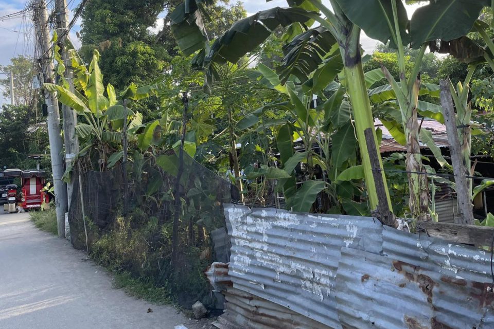 Talisay City Prime Lot for Sale